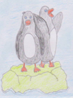 penguins